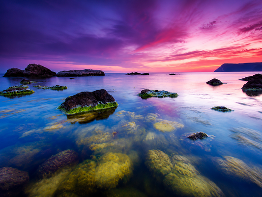 The Power of Calm Leadership in Uncertain Times