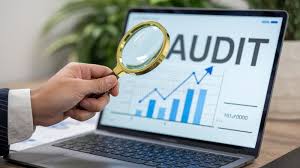 Website Audit